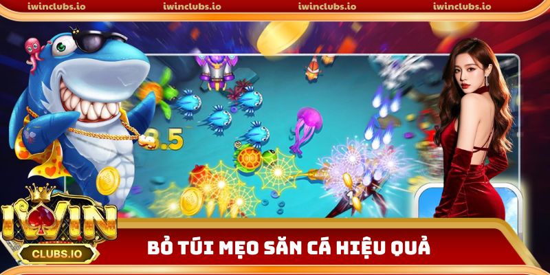 Bỏ túi mẹo săn cá hiệu quả