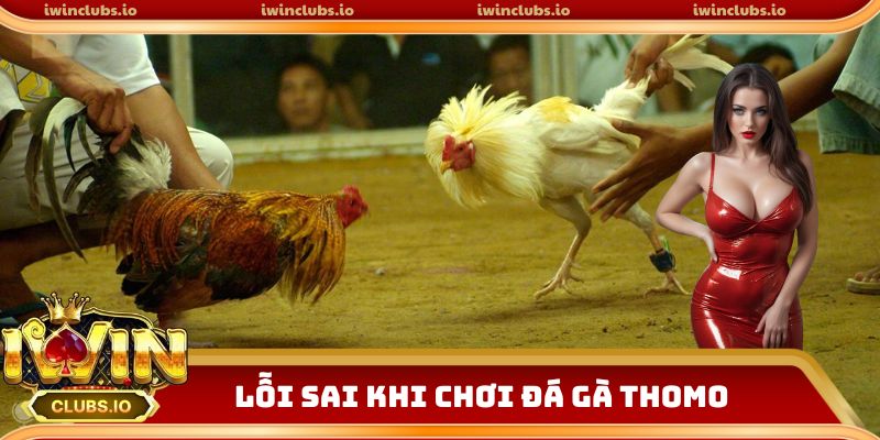 Hạn chế lỗi sai khi chơi đá gà Thomo