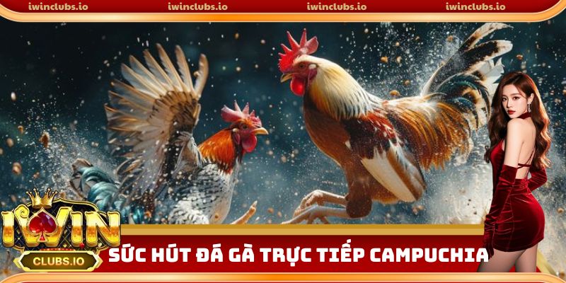 Đá gà trực tiếp Campuchia nảy lửa tại iwinclub